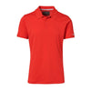 Polo Porsche Design